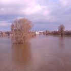 Hochwasser