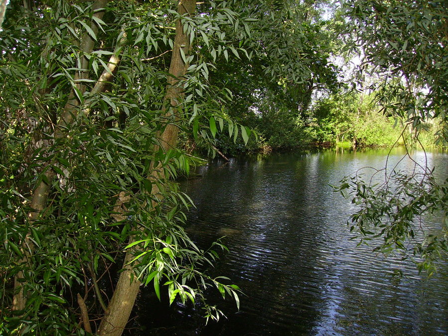 Hochwasser