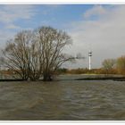 Hochwasser