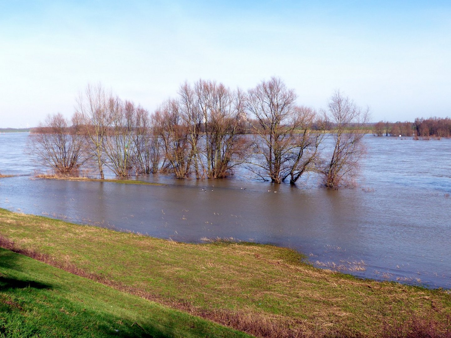 Hochwasser