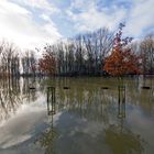 Hochwasser