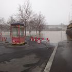 Hochwasser 1_Würzburg_17.1.2011