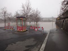 Hochwasser 1_Würzburg_17.1.2011