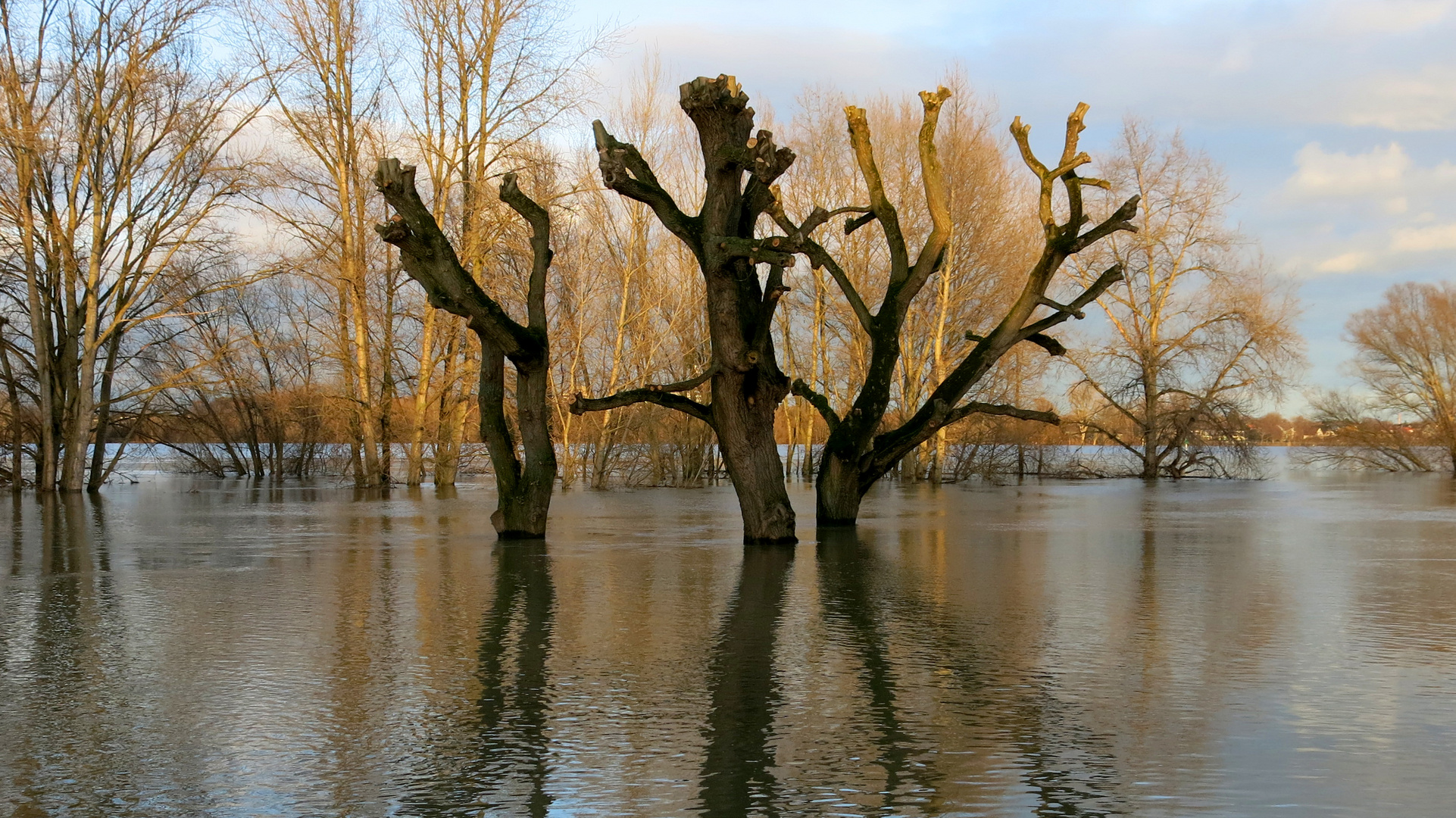 Hochwasser 2