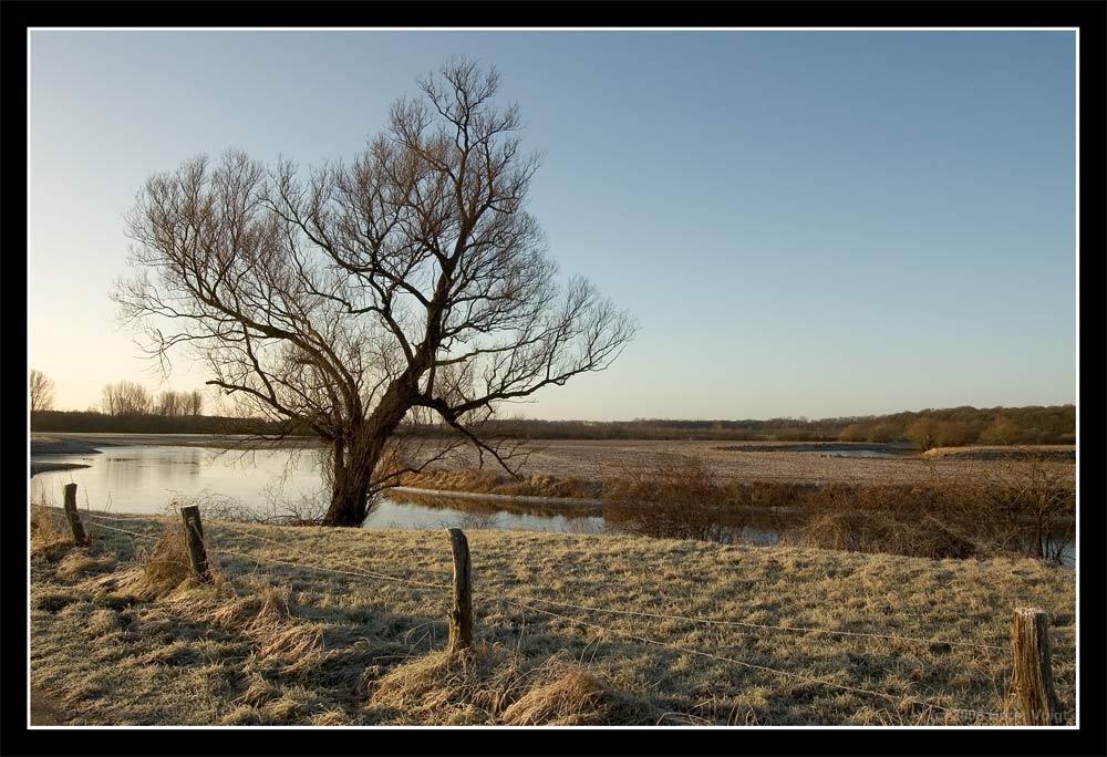 Hochwasser (2)