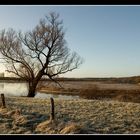 Hochwasser (2)