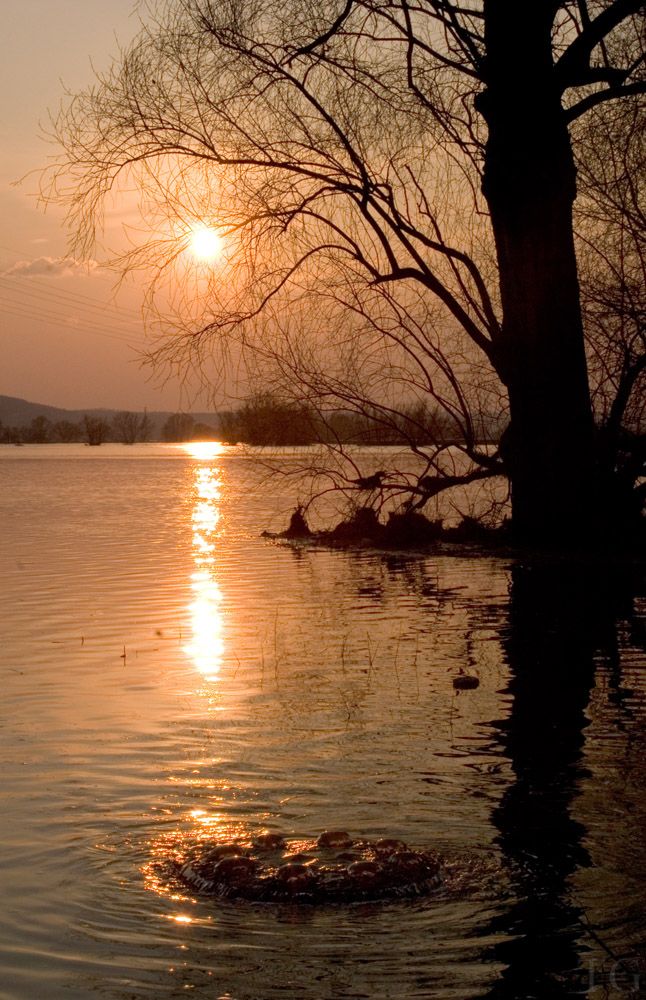 Hochwasser (2)