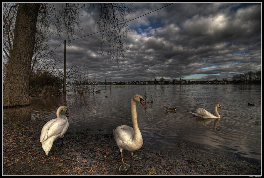 Hochwasser (2)