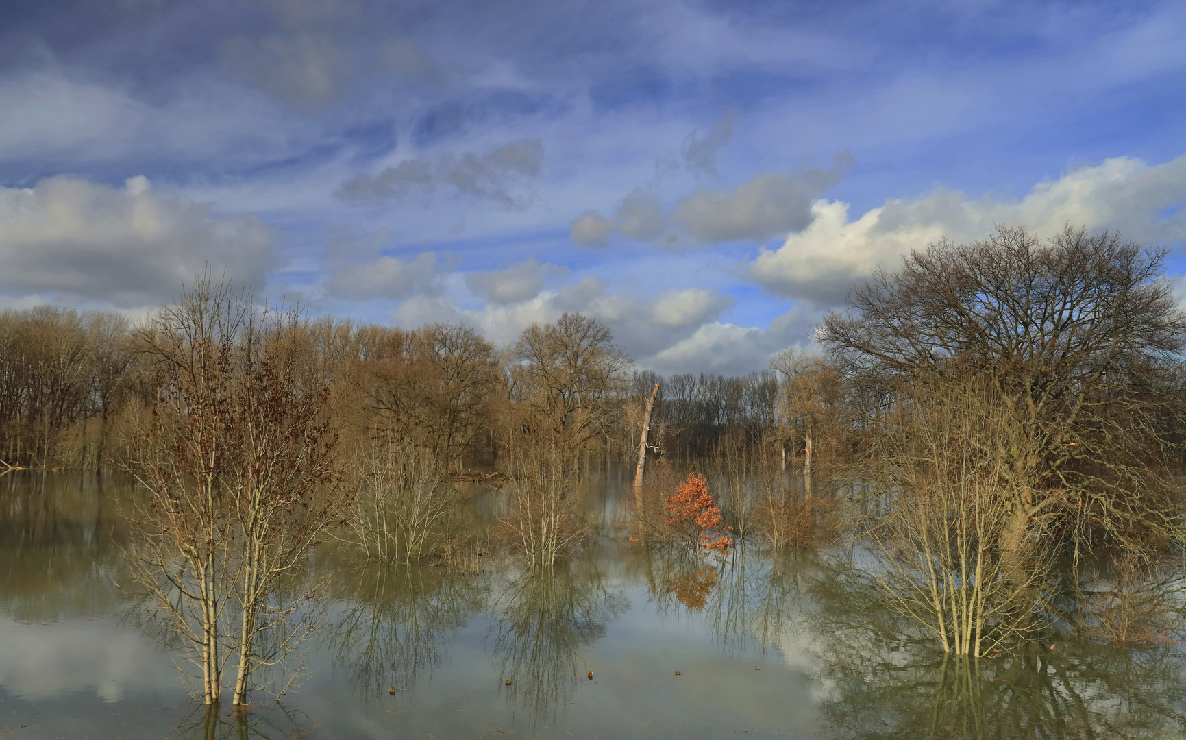 Hochwasser... (2)