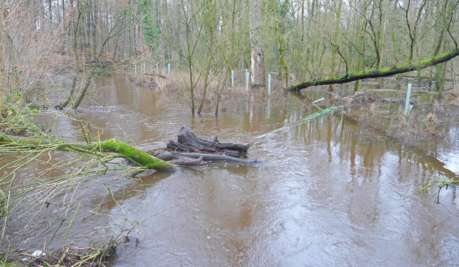 Hochwasser 2