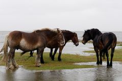 Hochwasser (2)