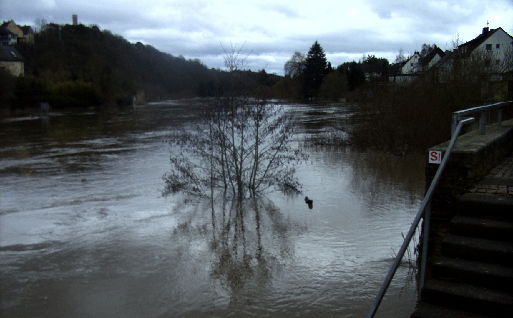 Hochwasser 2010 (2)