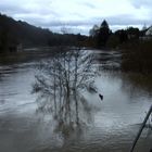 Hochwasser 2010 (2)