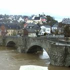 Hochwasser 2010 (3)