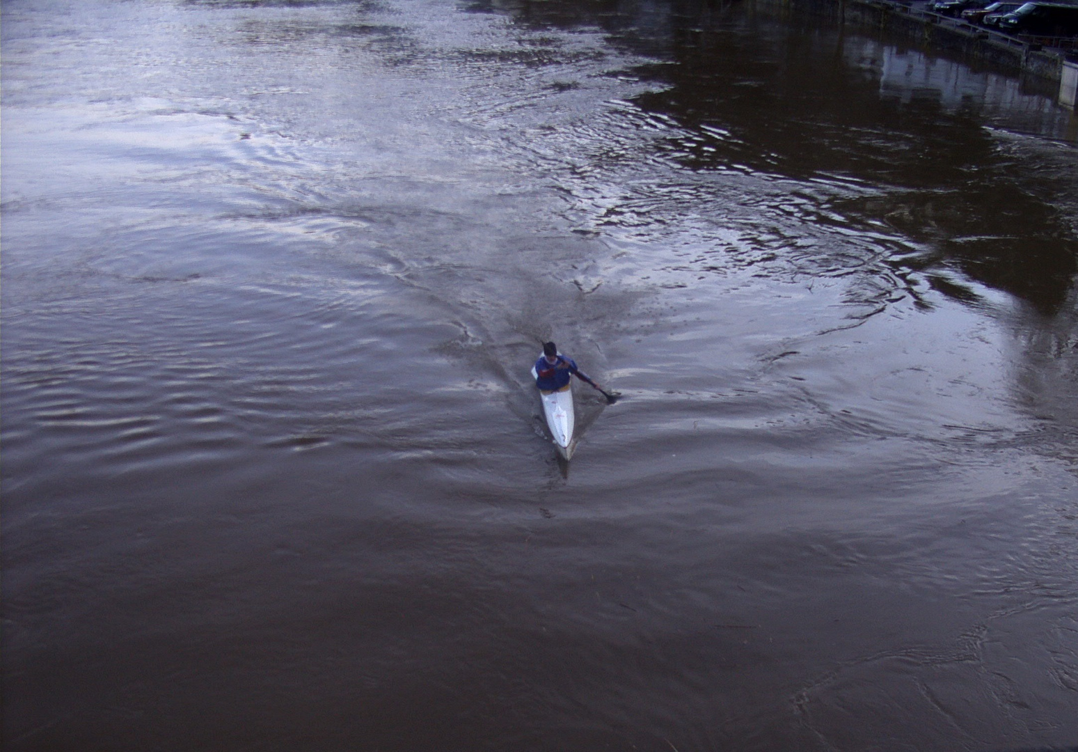 Hochwasser 2010 (5)