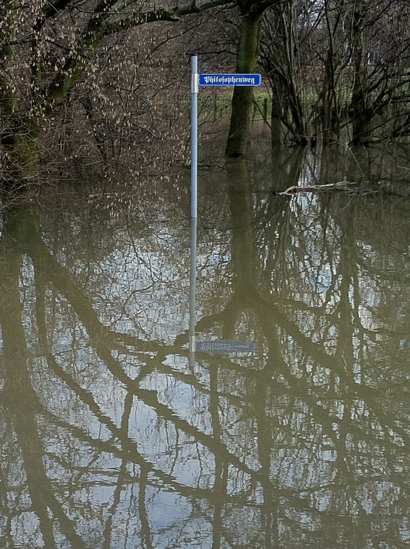 Hochwasser 2011