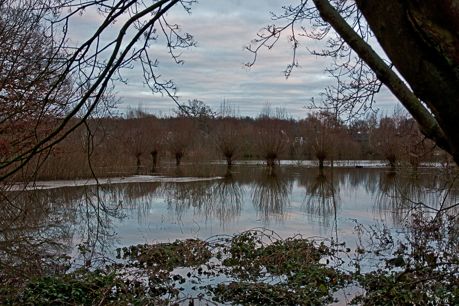 Hochwasser 2011