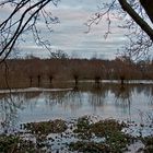 Hochwasser 2011