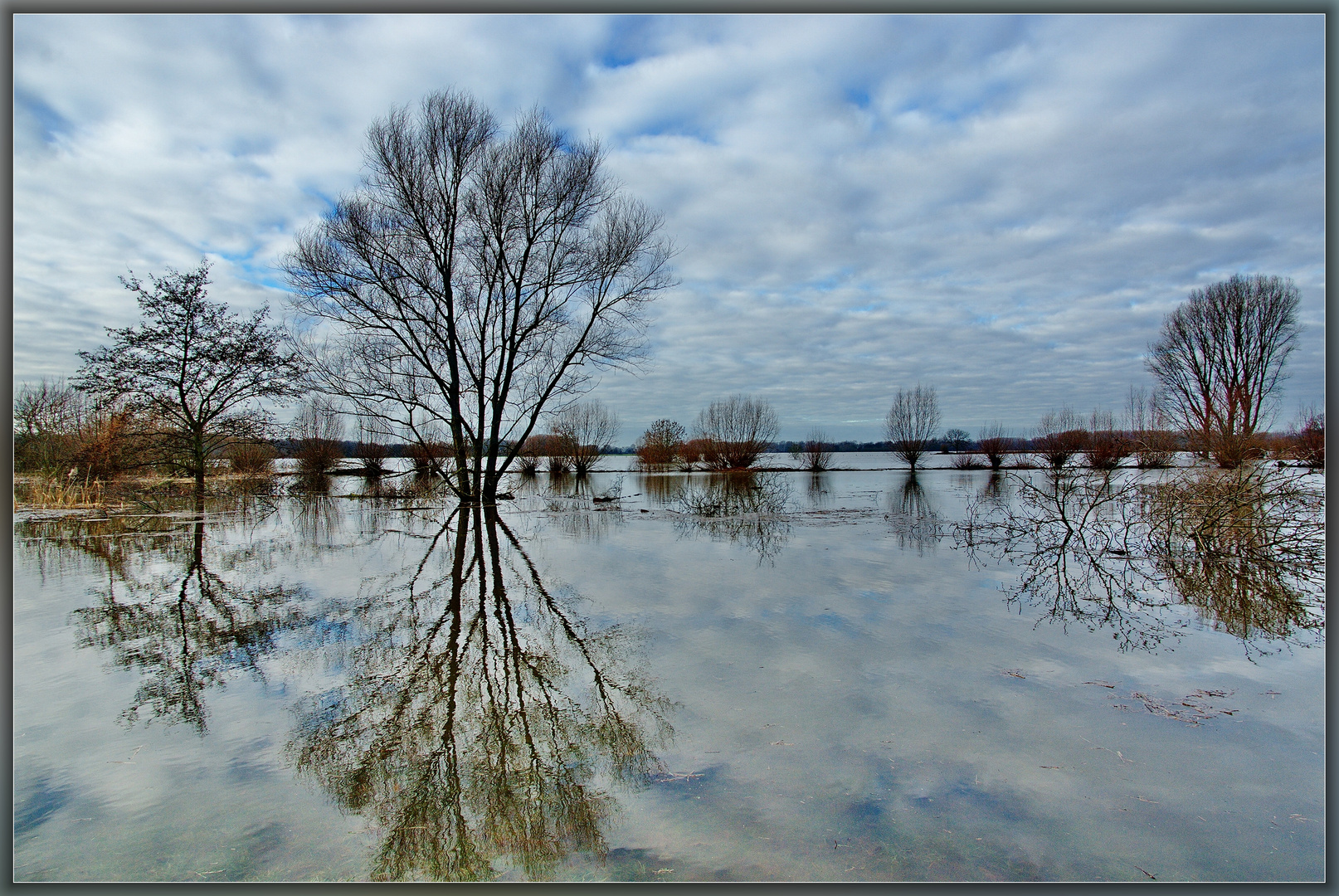 Hochwasser 2011 Alt Rhein in den Urdenbacher Kempen