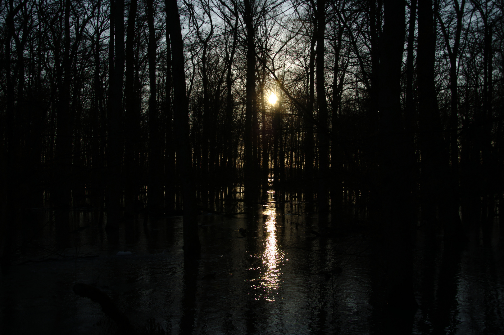 Hochwasser 2011