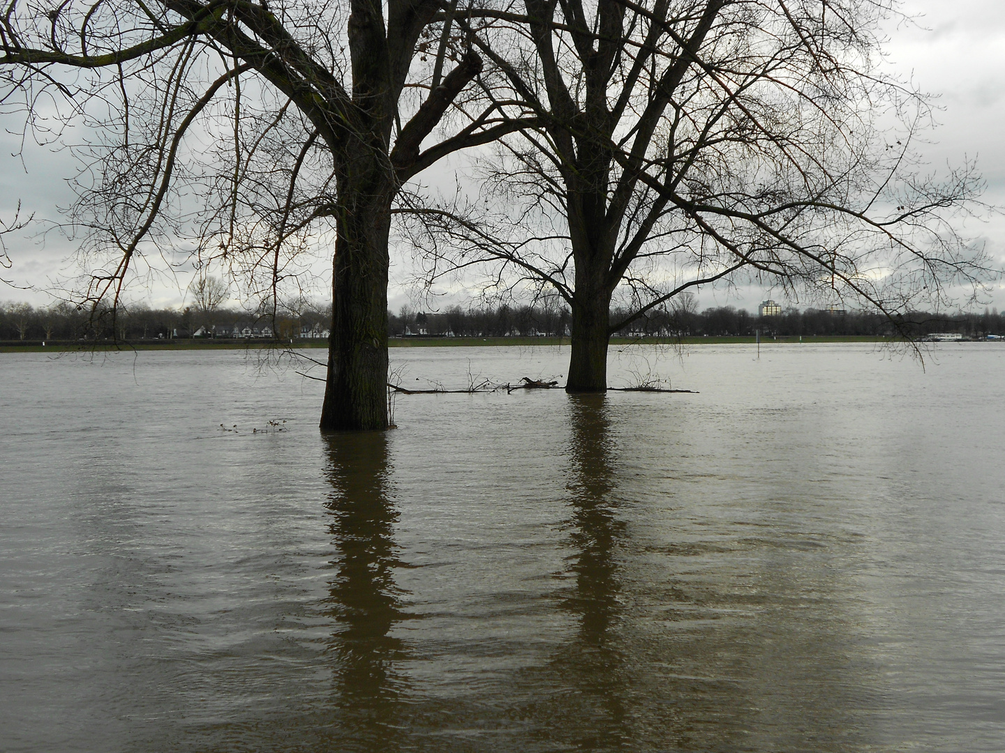 Hochwasser 2012