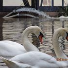 Hochwasser 2013