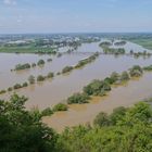 Hochwasser 2013