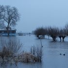 Hochwasser 2013, Bleckeder Fährhaus