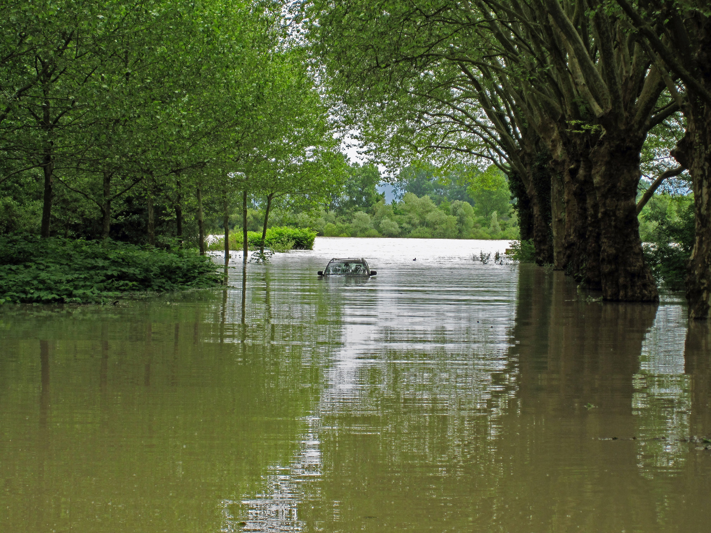 Hochwasser 2013