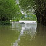 Hochwasser 2013