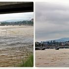 Hochwasser 2013 in Basel