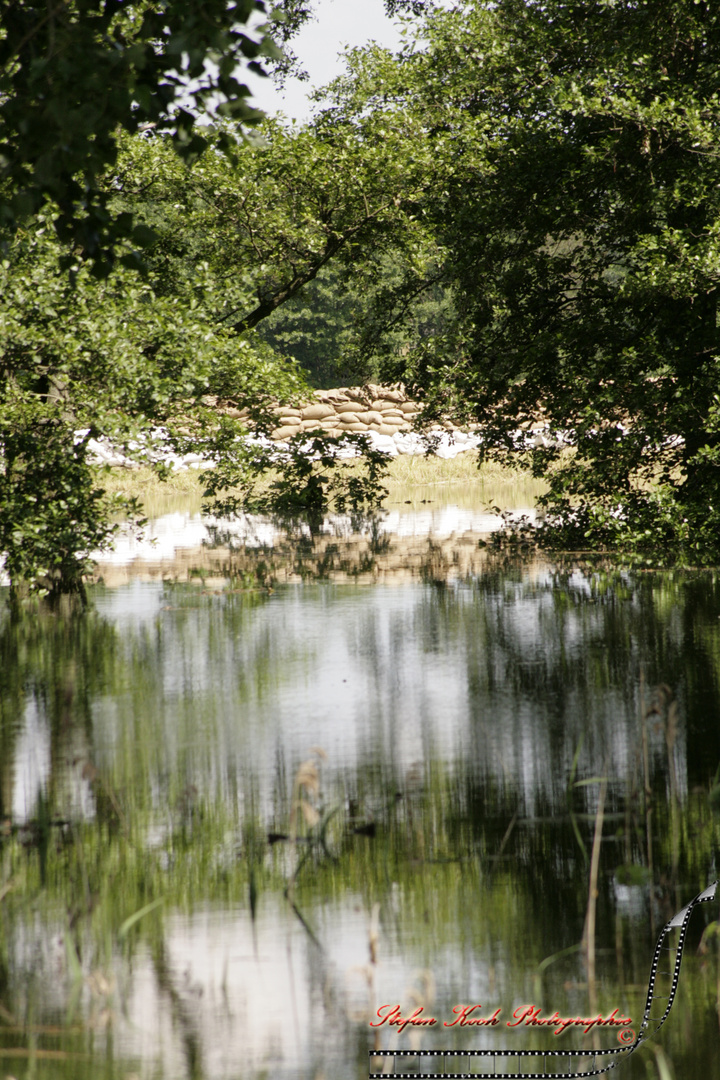 Hochwasser 2013/1