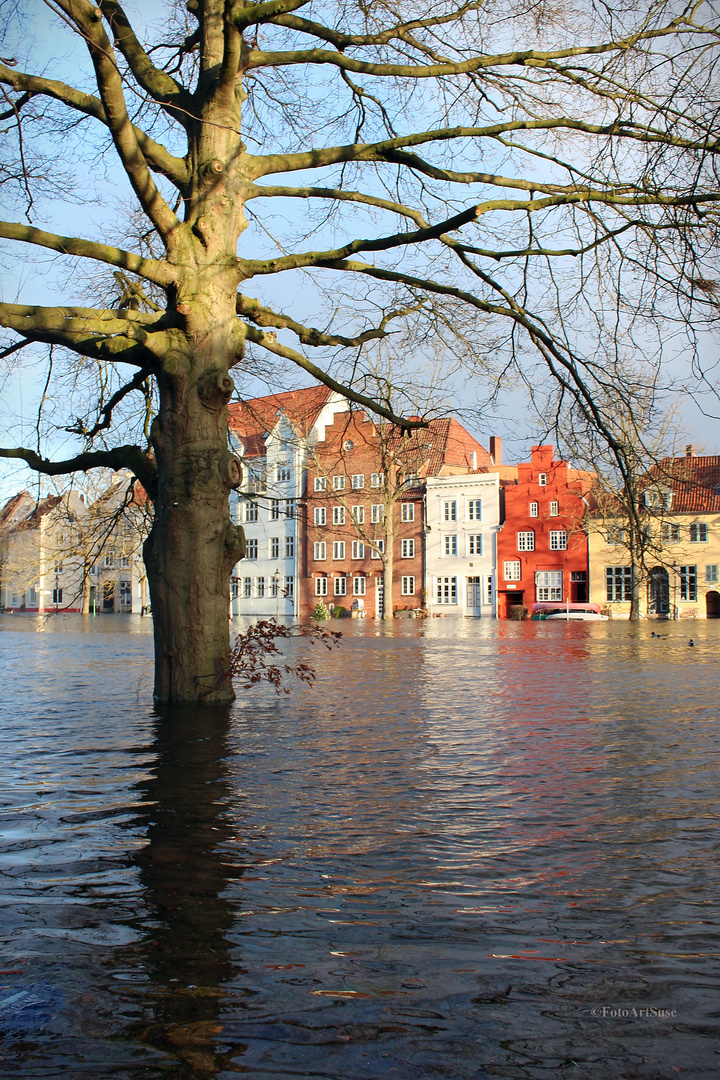 Hochwasser 2019.