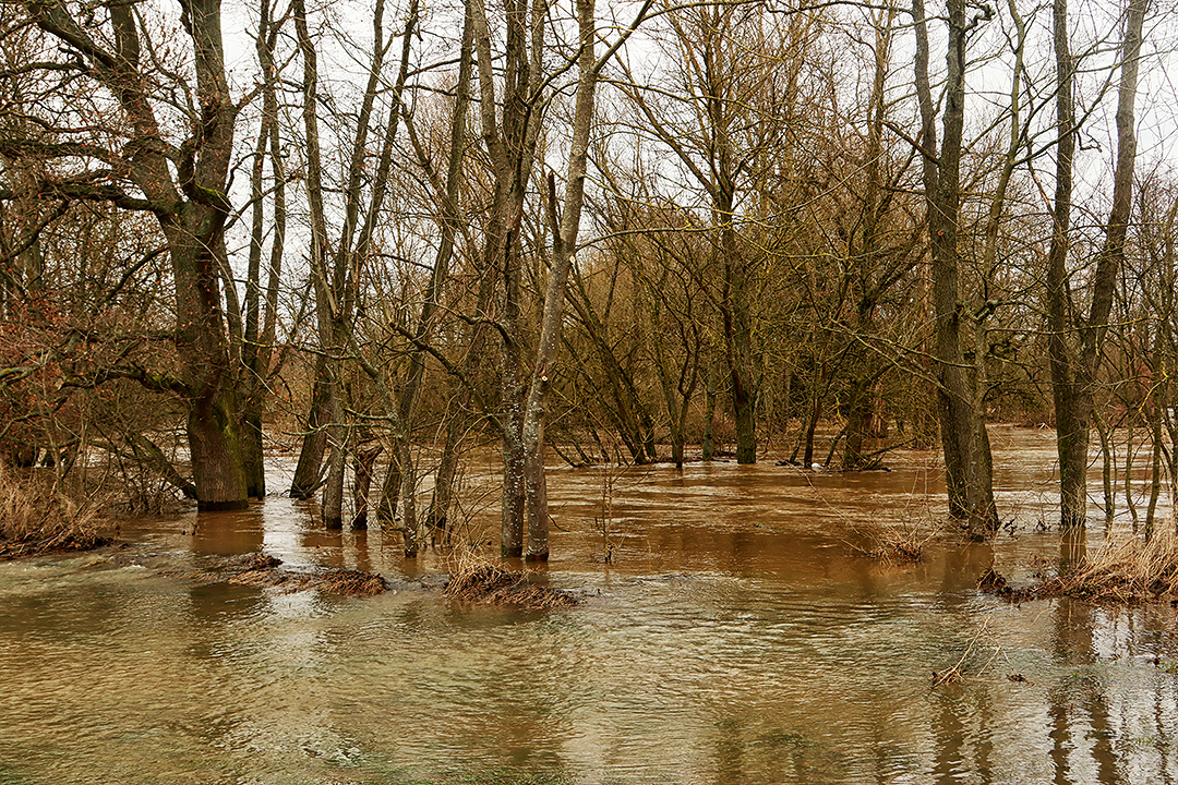 Hochwasser 2021