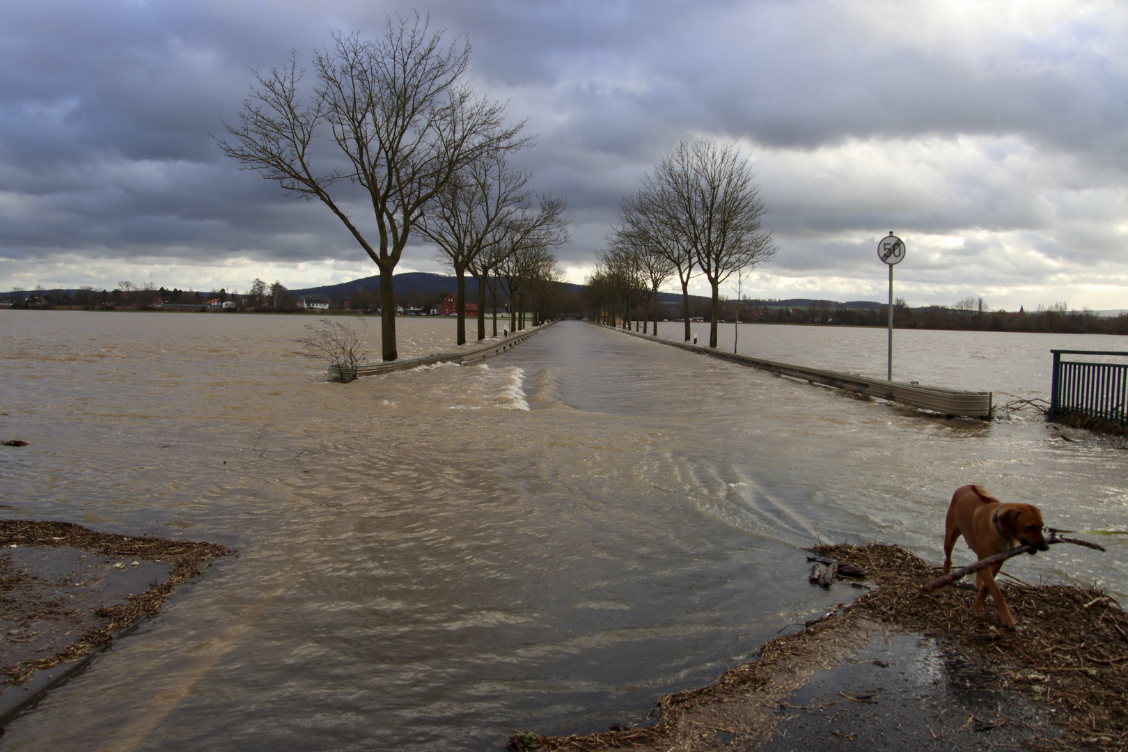 Hochwasser 2023 Region Hannover