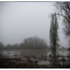 Hochwasser, 27.01.2018