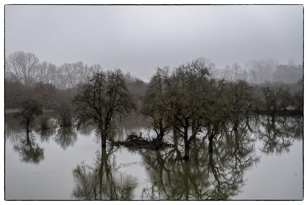 Hochwasser, 27.01.2018