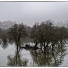 Hochwasser, 27.01.2018