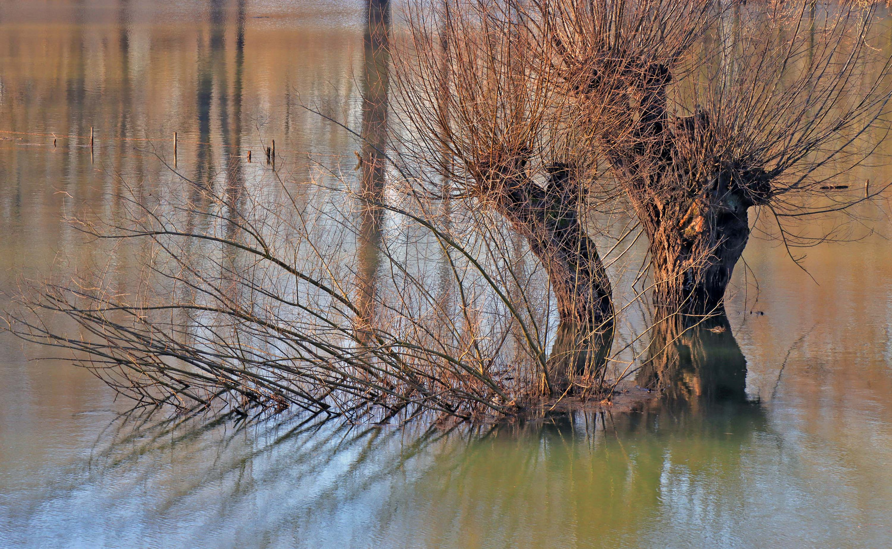 Hochwasser 3