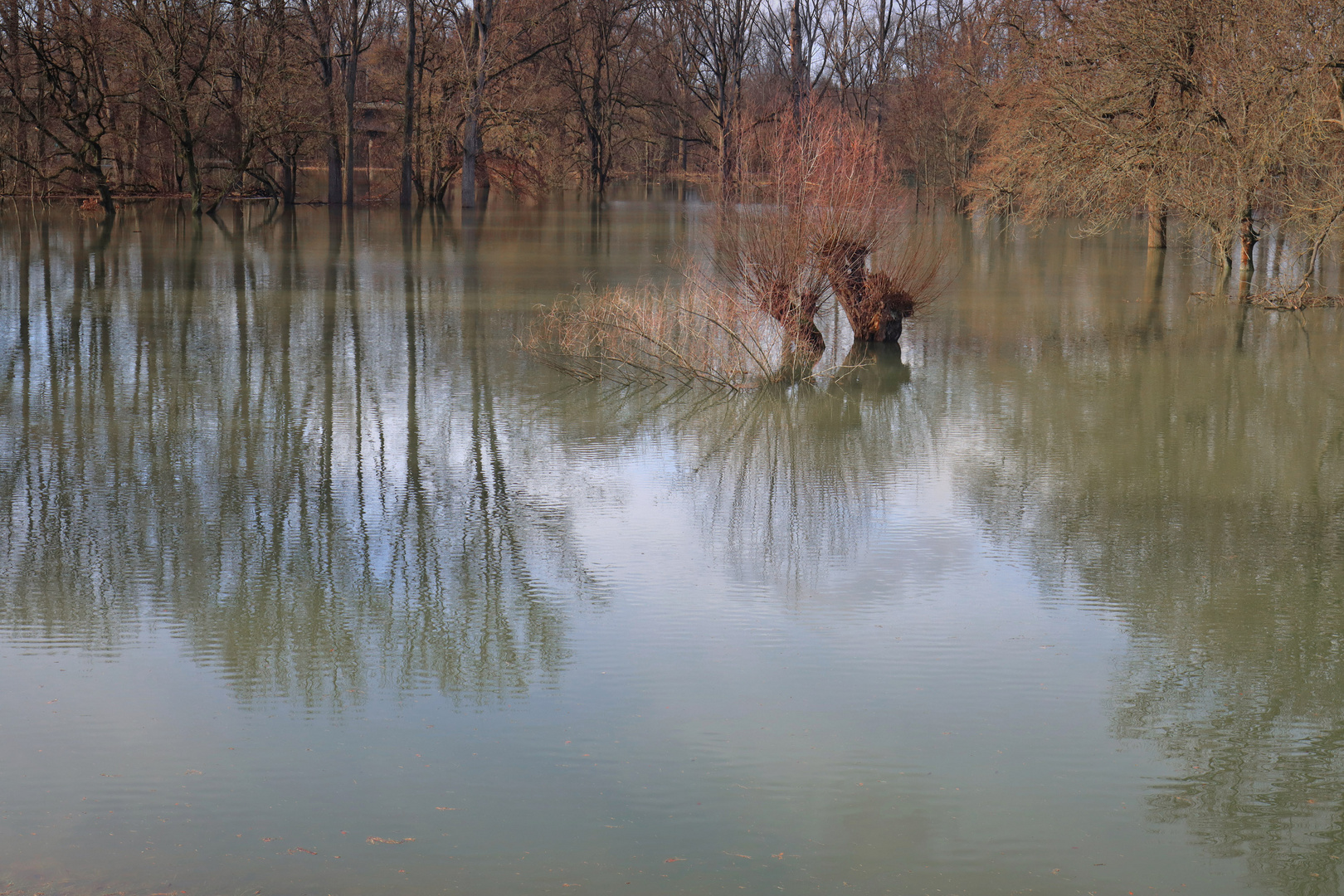 Hochwasser... (3)