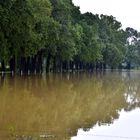 Hochwasser......