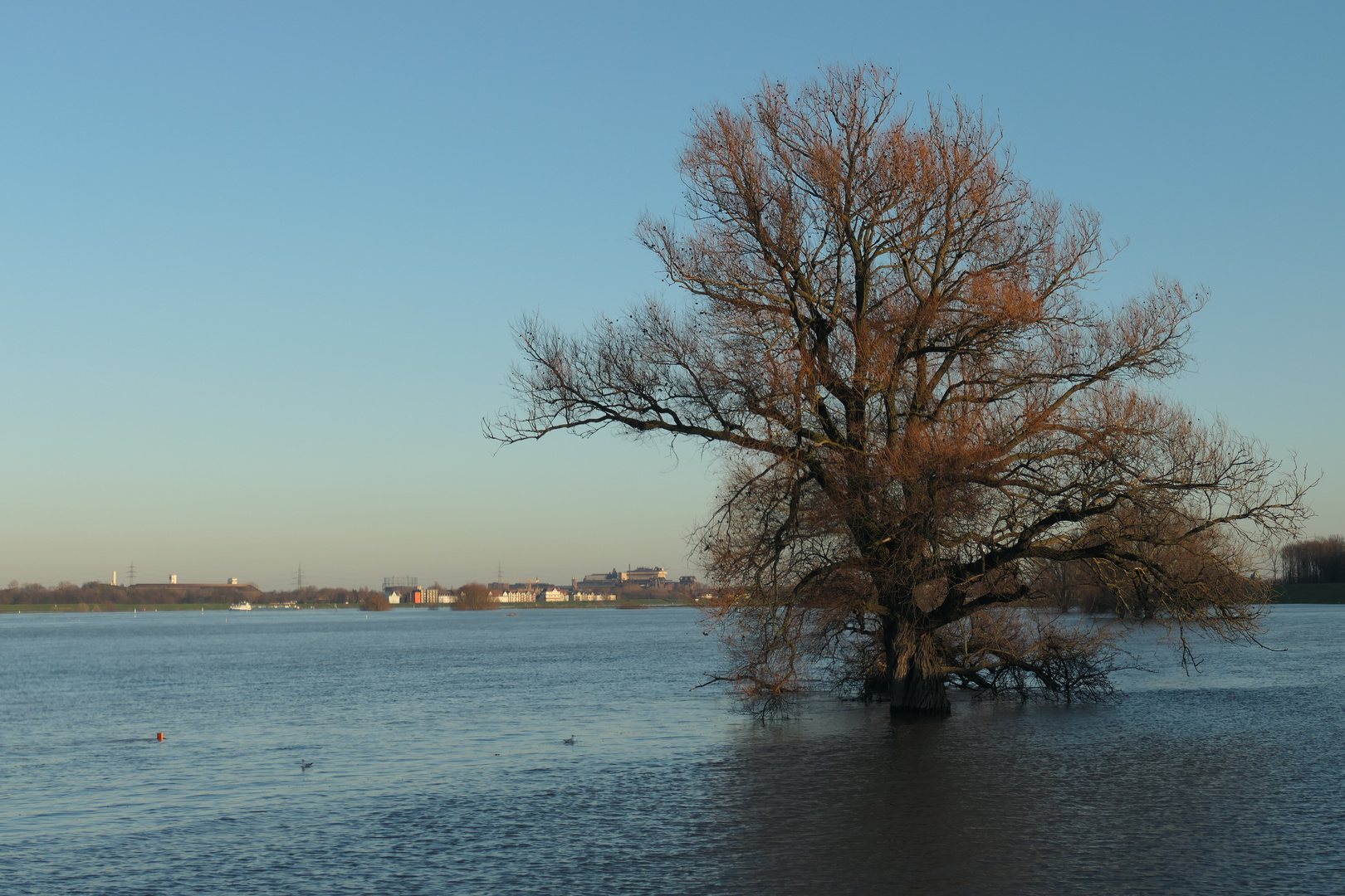 Hochwasser 4