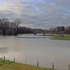 Hochwasser... (4)