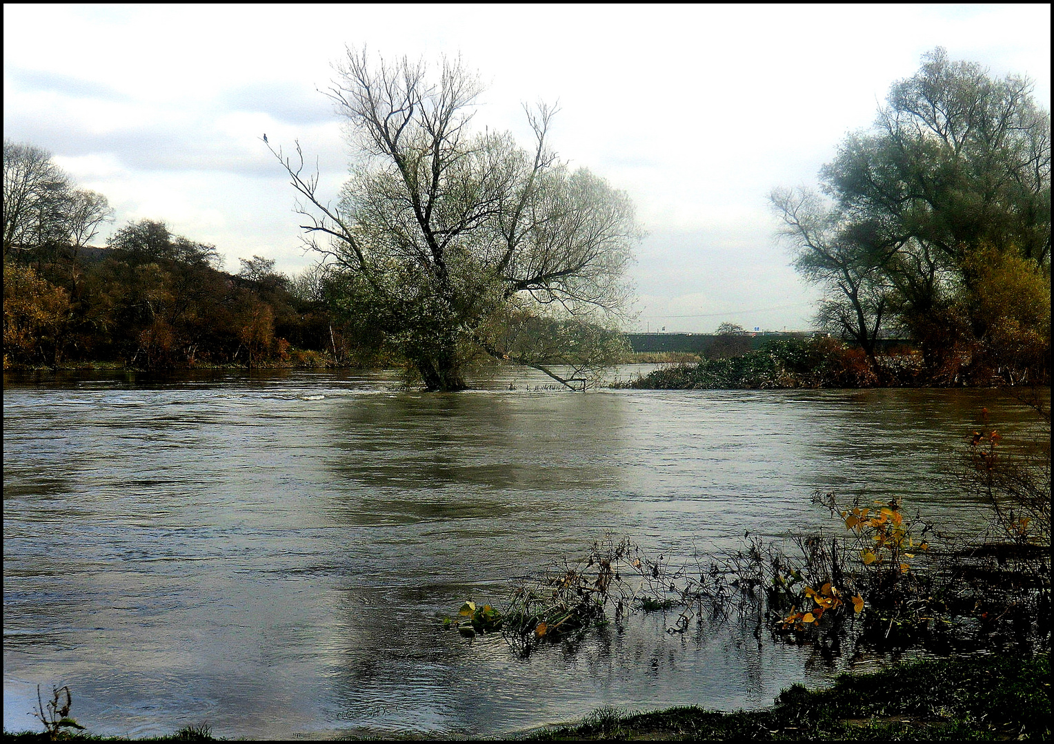 Hochwasser Foto & Bild | landschaft, bach, fluss & see ...