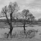 Hochwasser