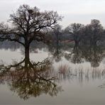 hochwasser