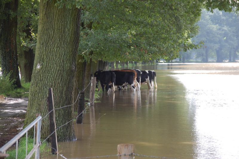 Hochwasser....