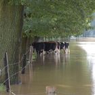 Hochwasser....