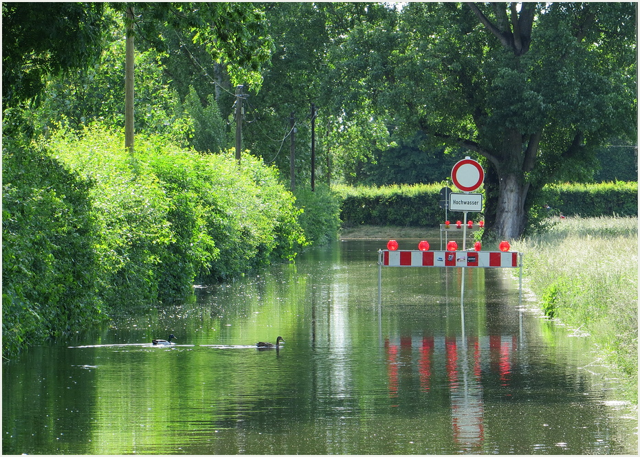 Hochwasser ....