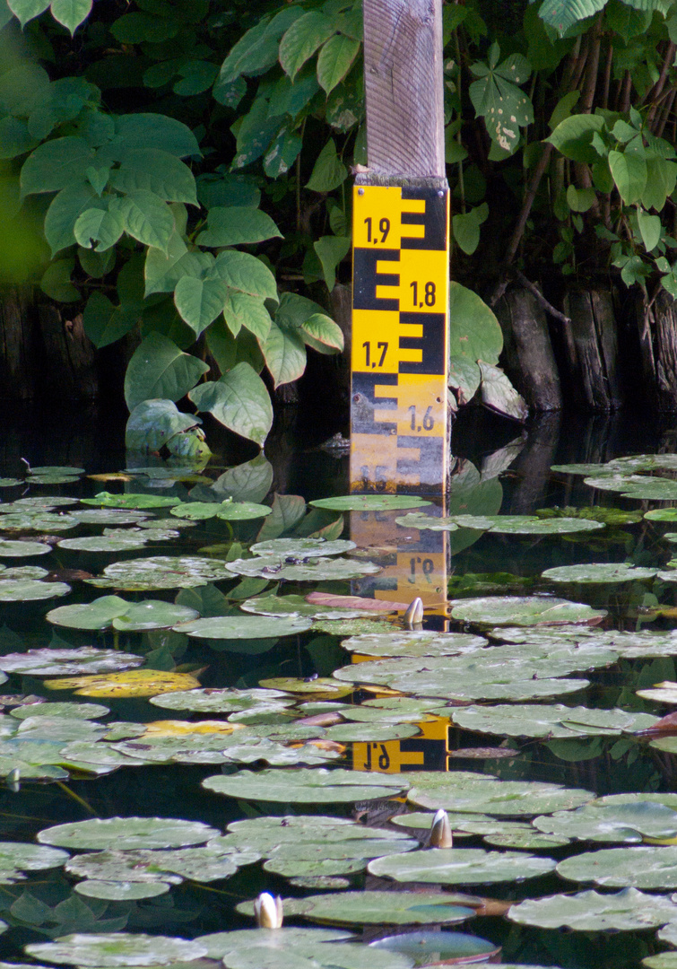 Hochwasser?